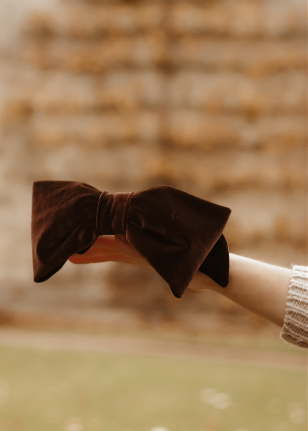 Alexandra -  Chocolate Velvet Bow - Clip A