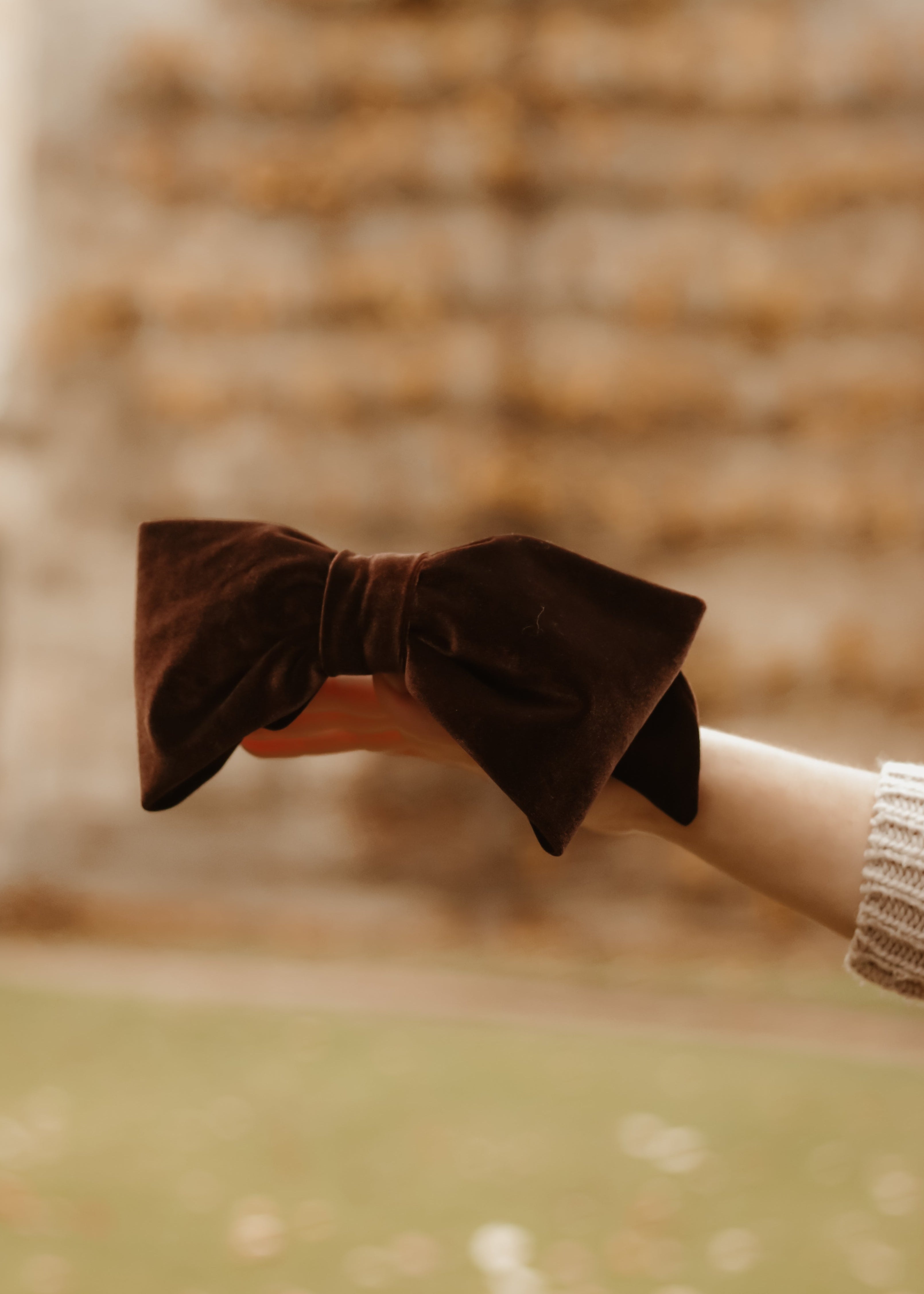 Alexandra - Chocolate Velvet Bow - Clip B