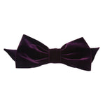 Alexandra - Aubergine Velvet Bow - Clip B